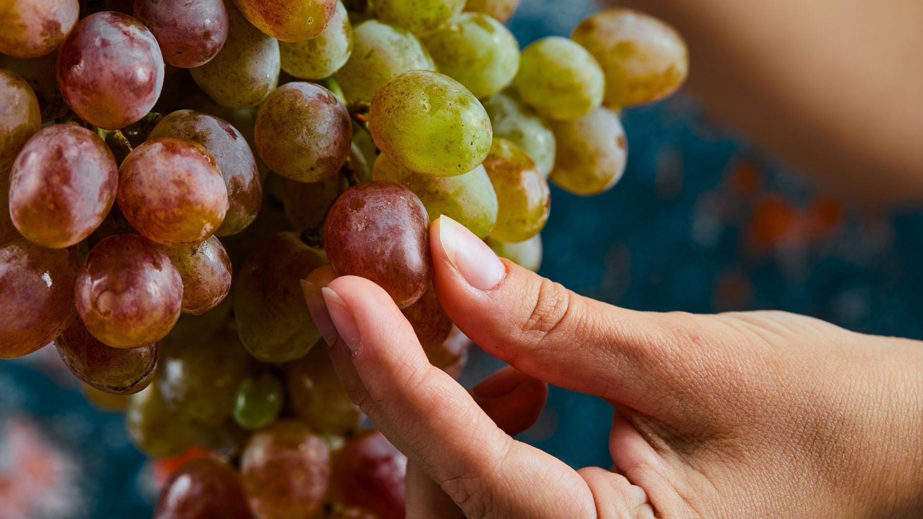 Grapes, store, place
