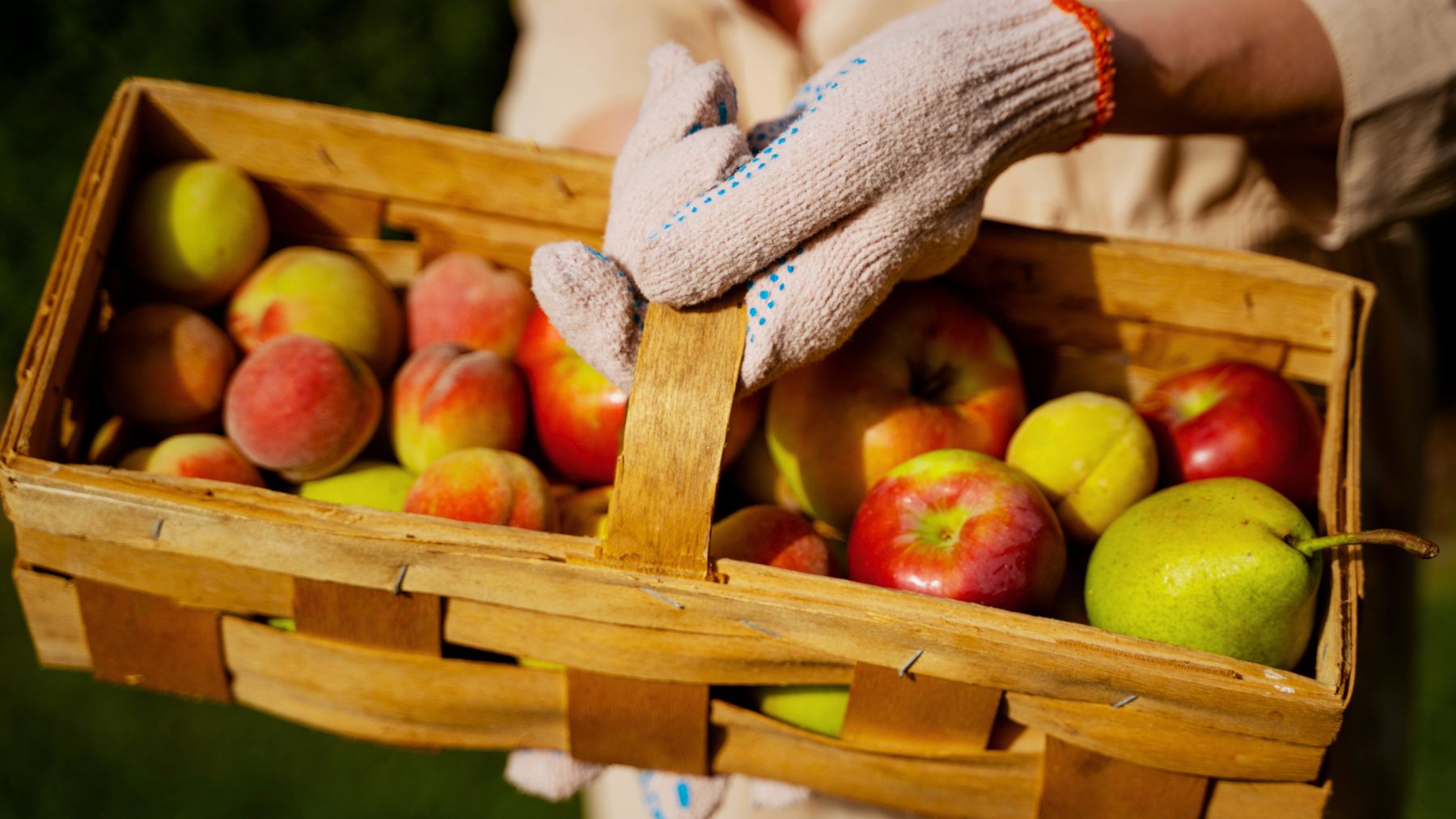 Fruits, pesticides, US