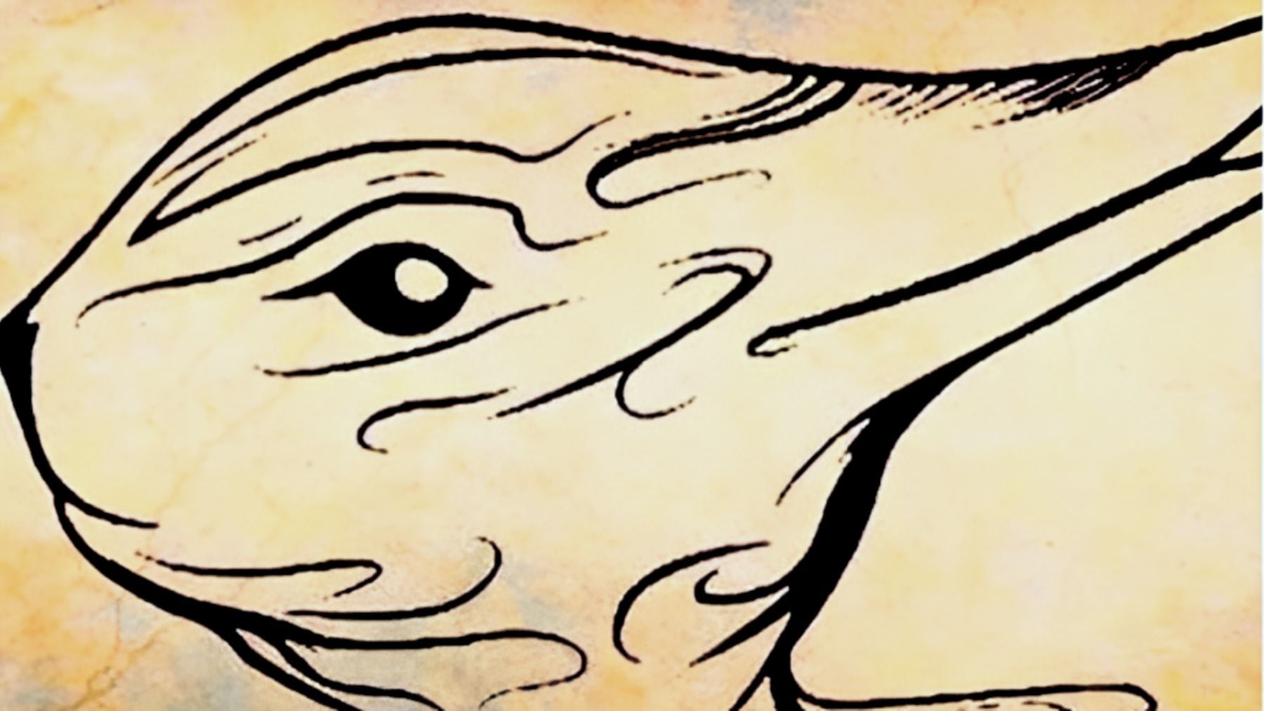 Visual, personality, test