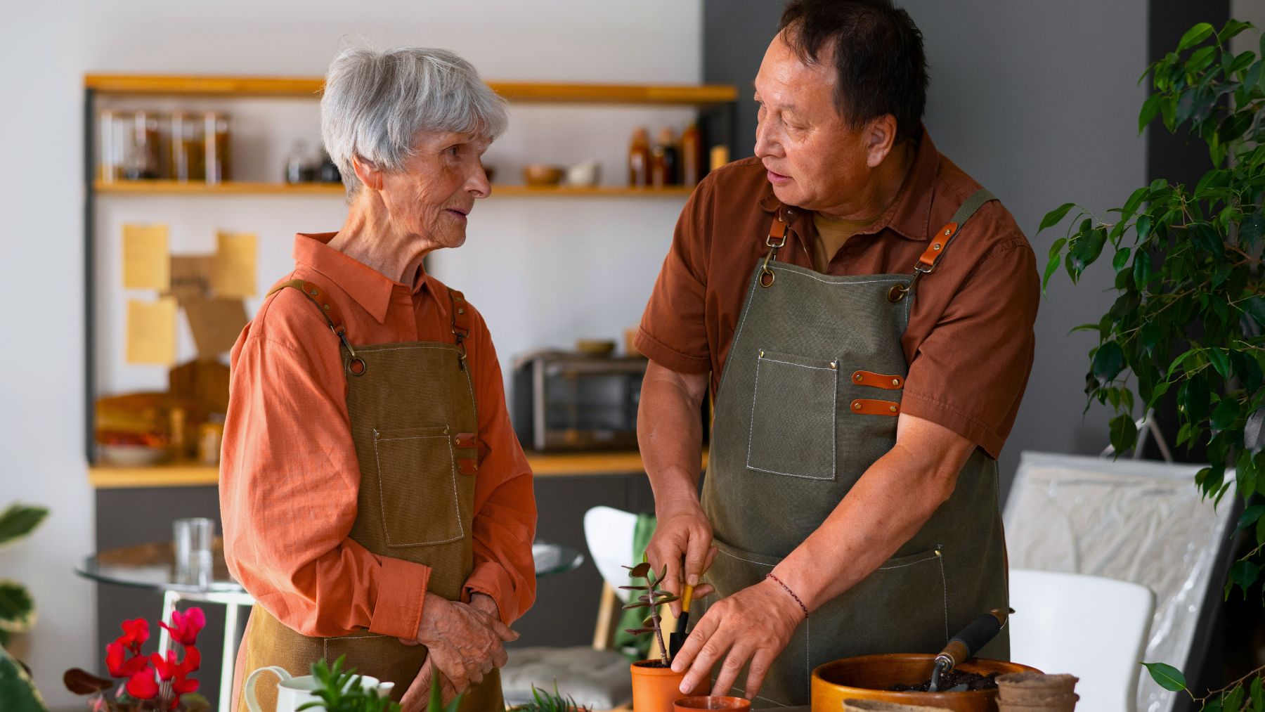 Hobby, seniors, focus