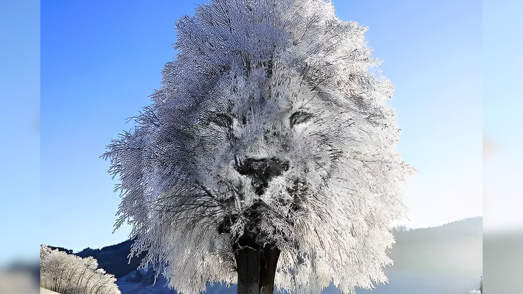 Visual, personality, test