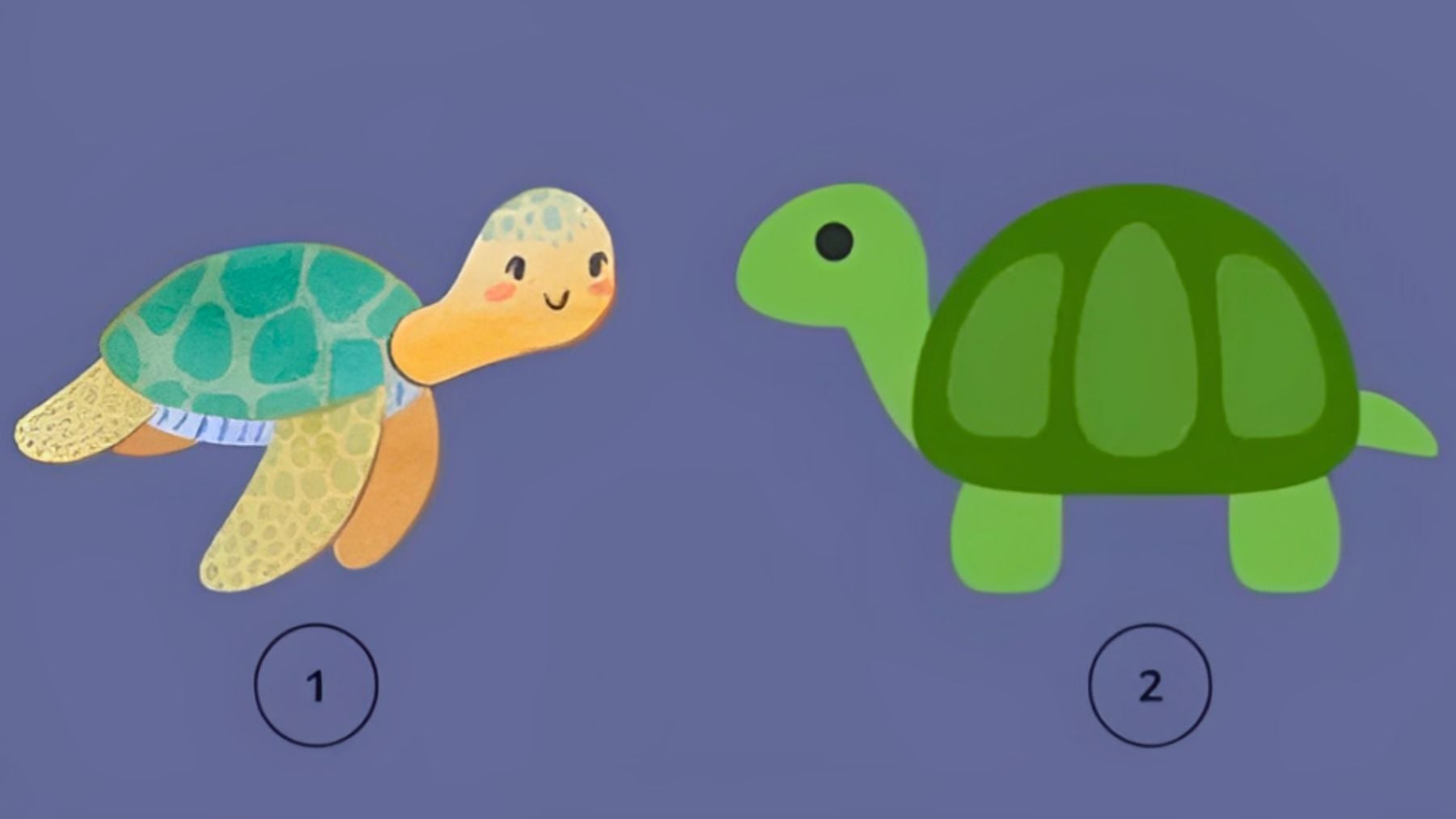 Turtle, personality, test