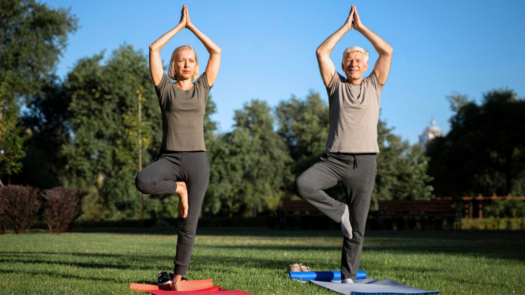 Exercise, seniors, balance