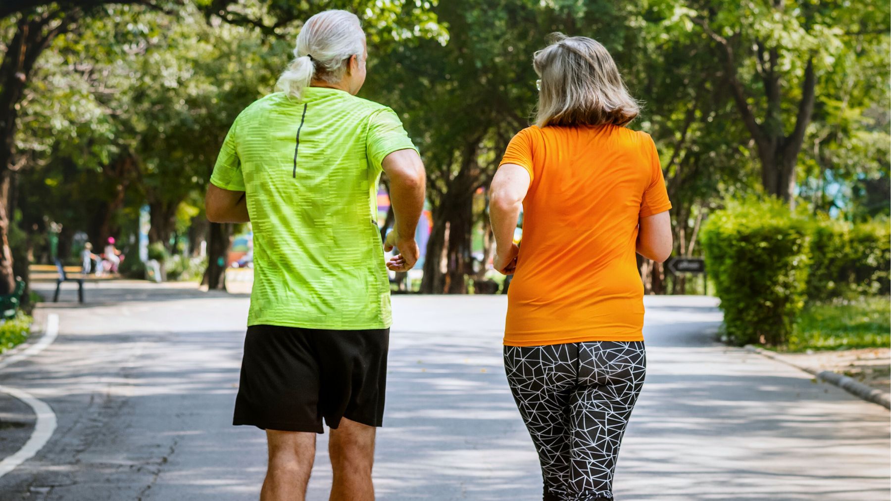 Sport, seniors, muscles