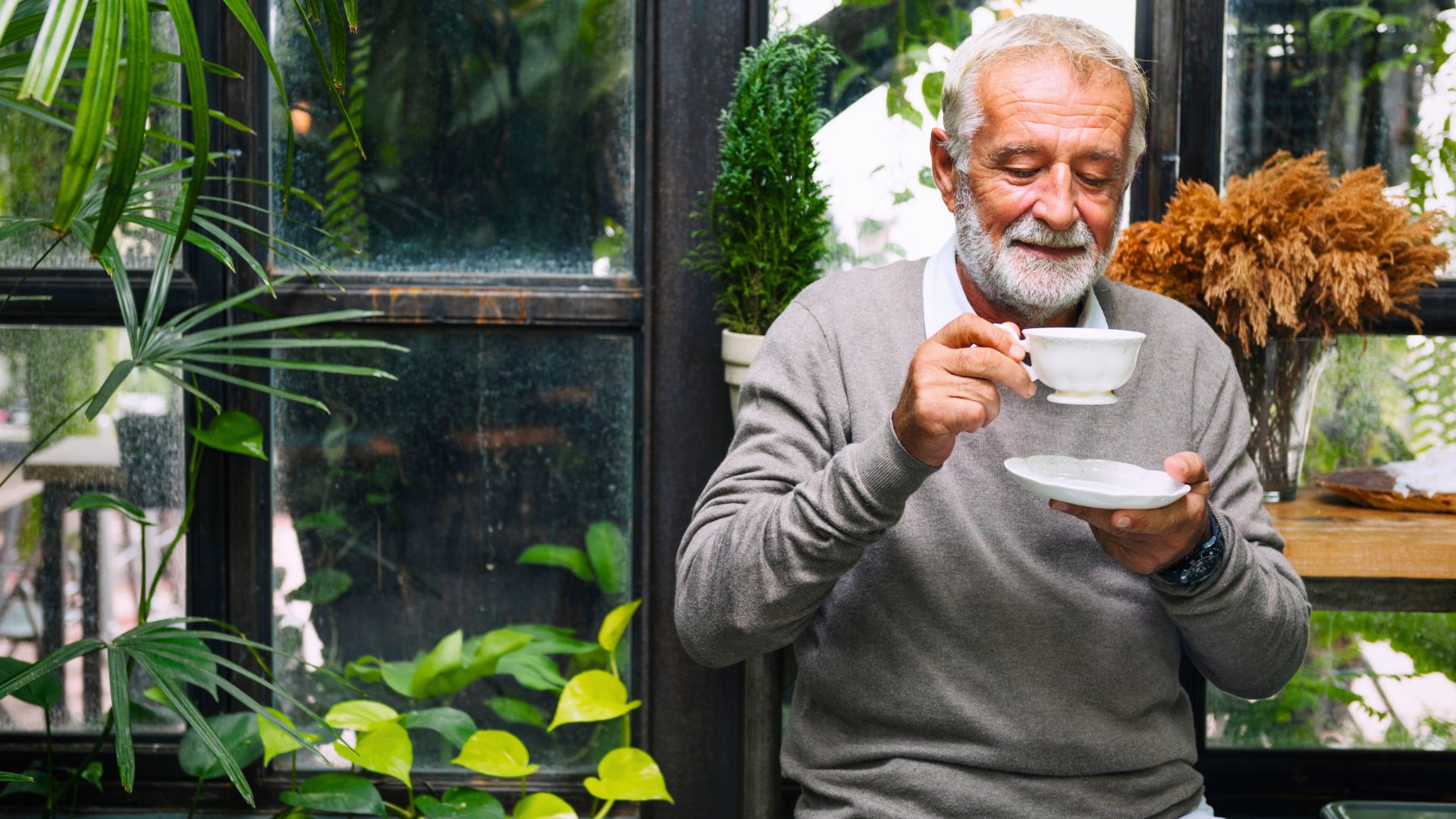 Drink, seniors, summer