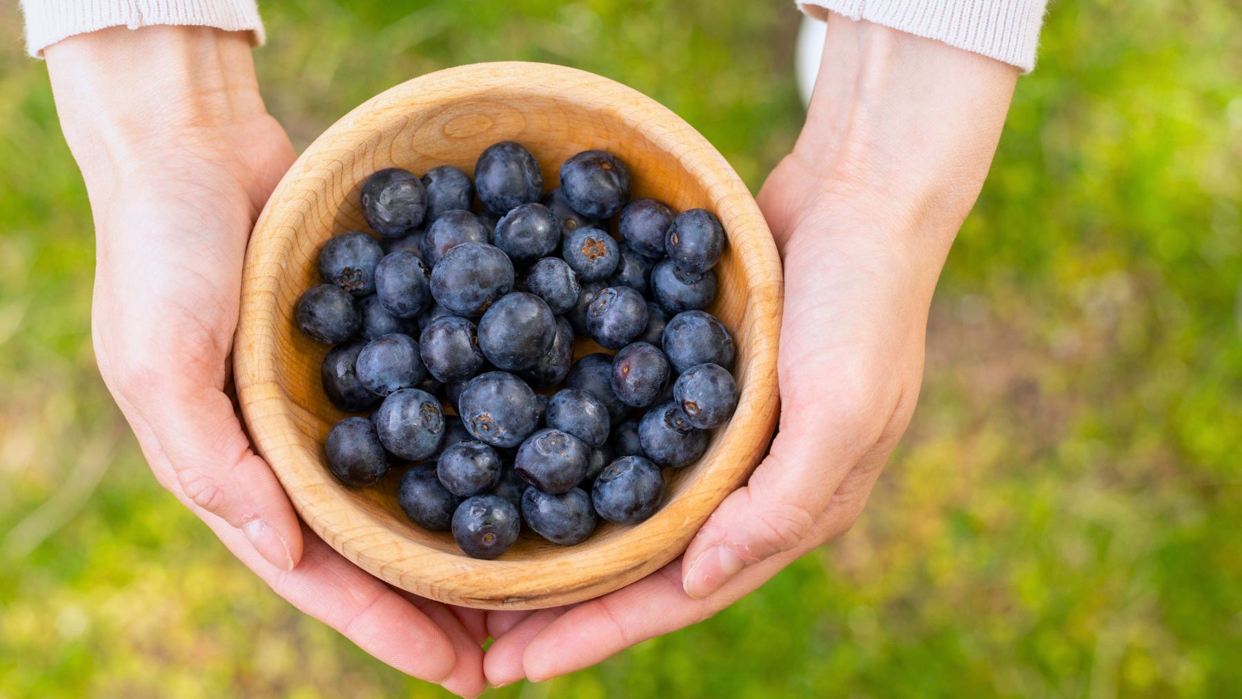 Wash, blueberries, method