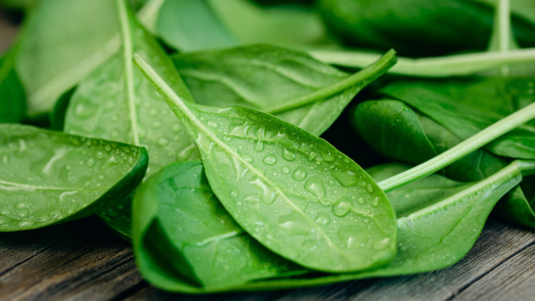 Food, iron, US