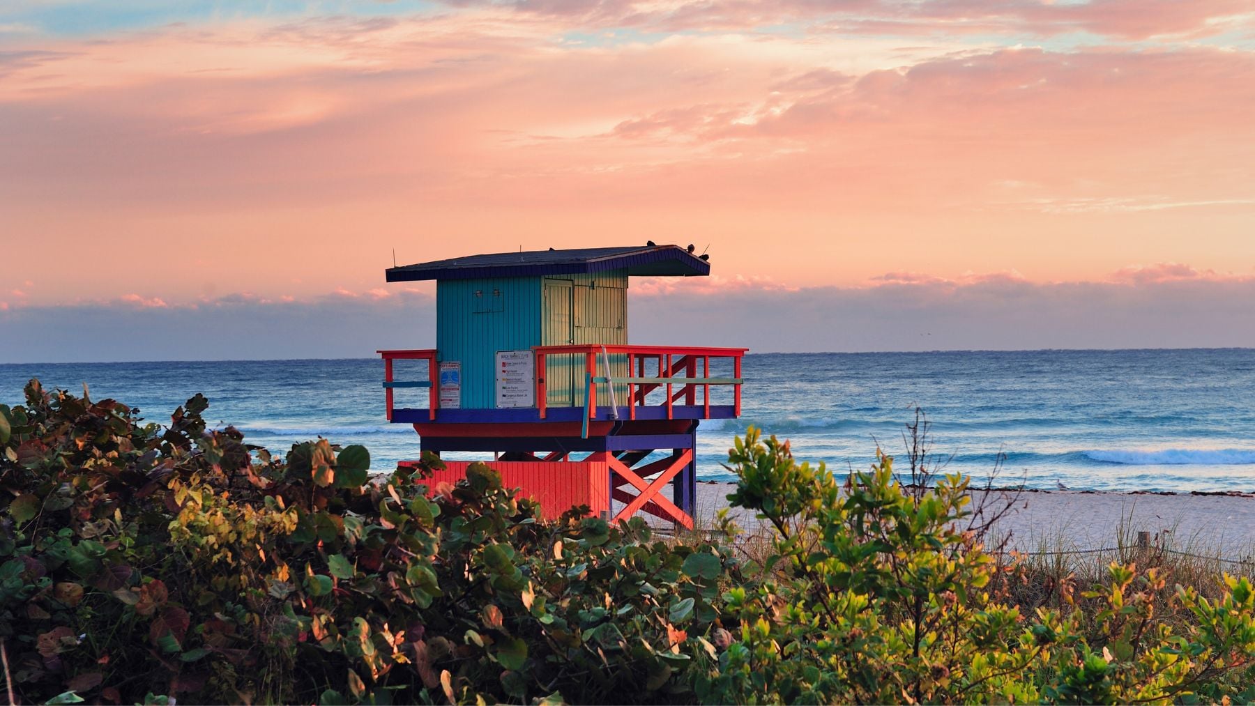 Bacteria, Gulf Coast, dangerous