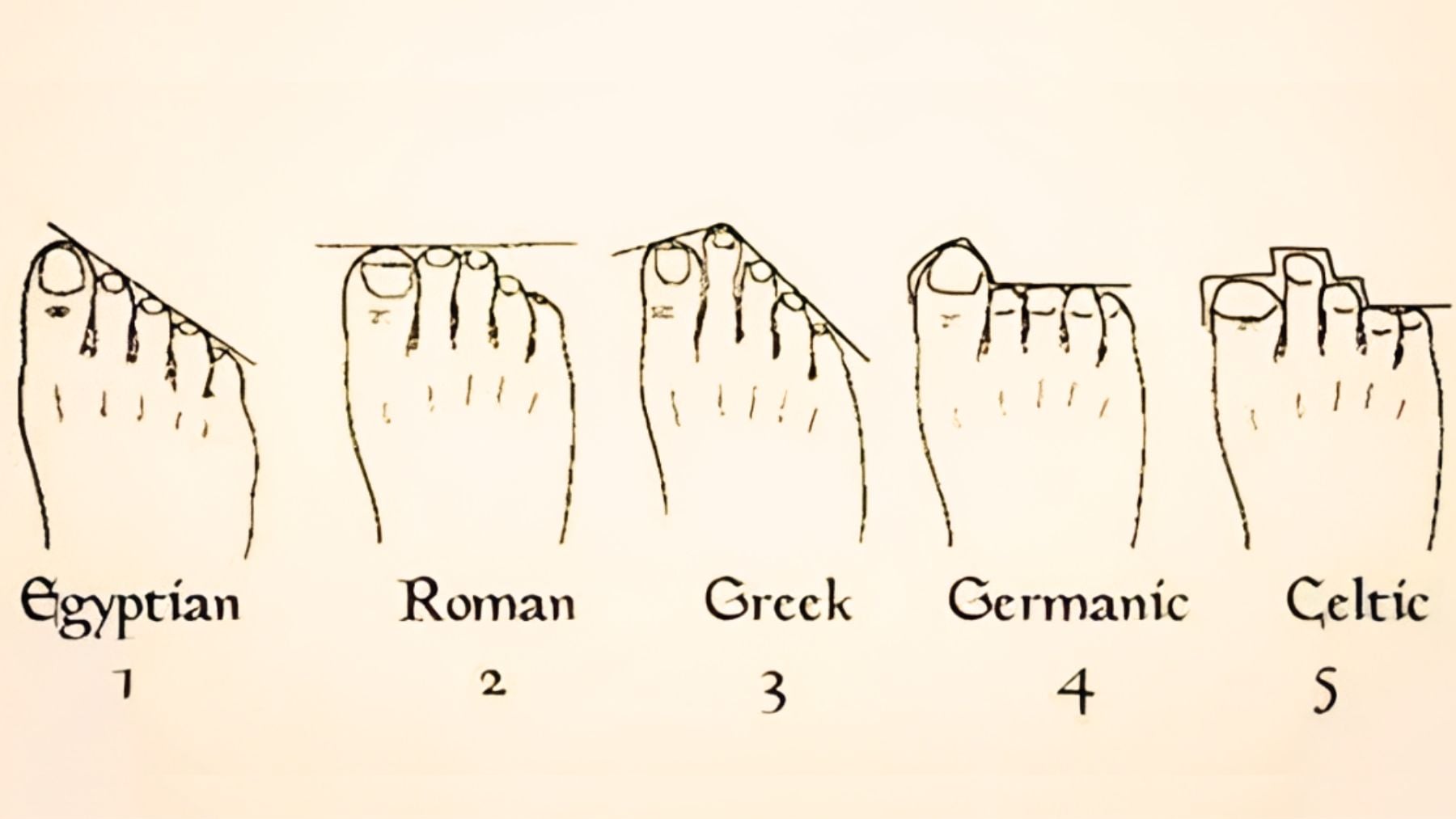 Foot, personality, test
