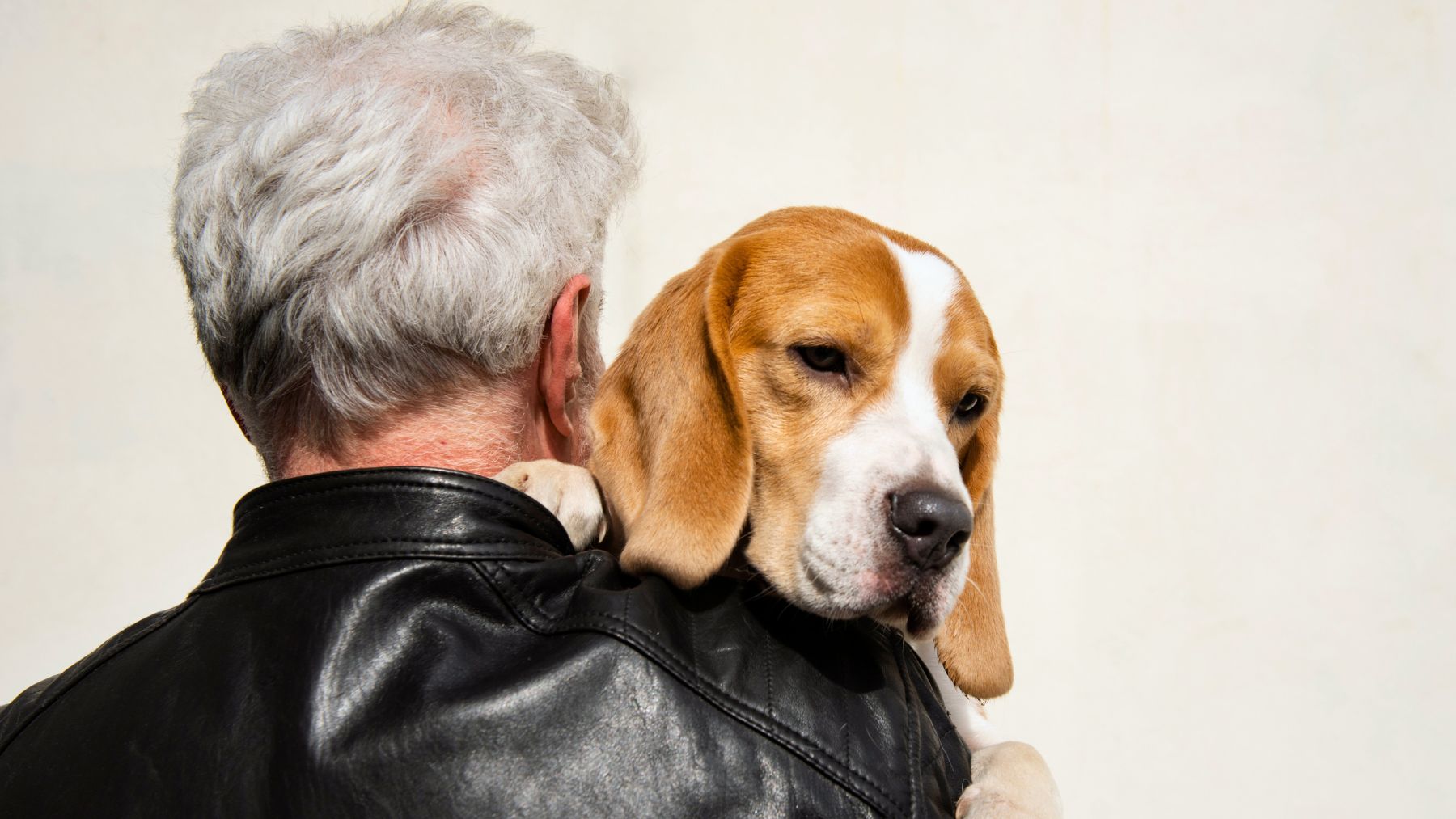 Pet, seniors, stress