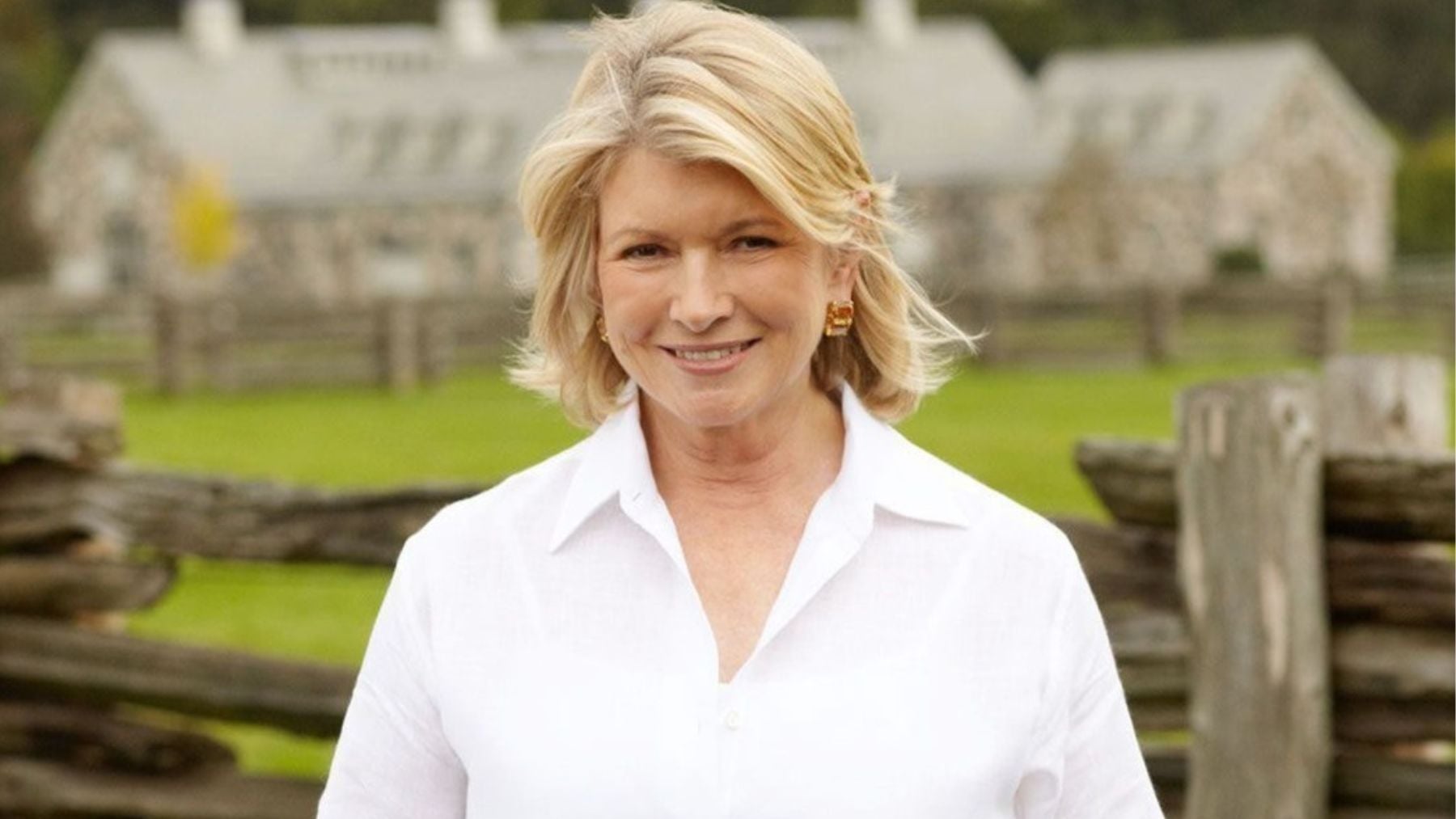 martha stewart