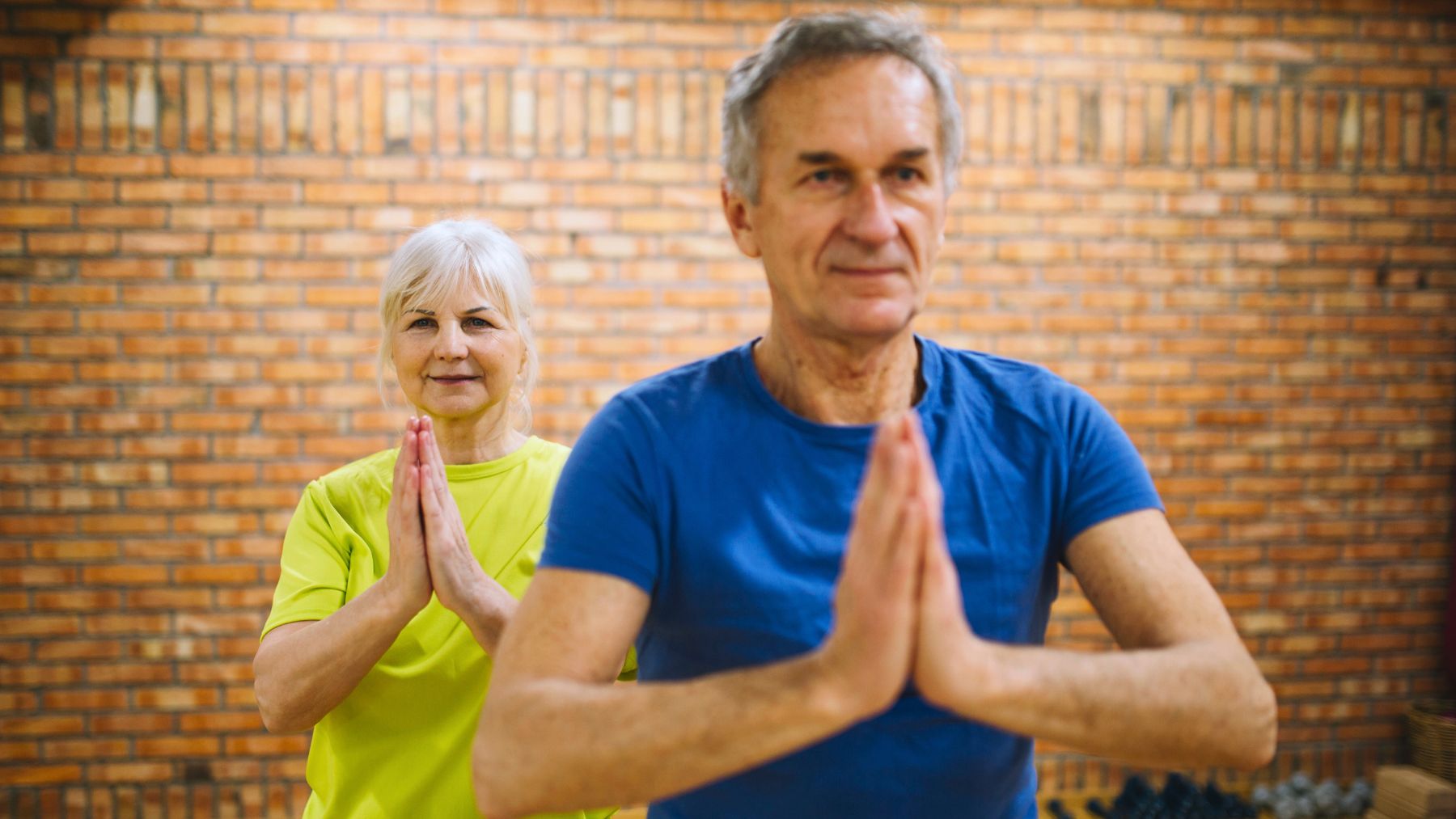 Activity, seniors, Harvard