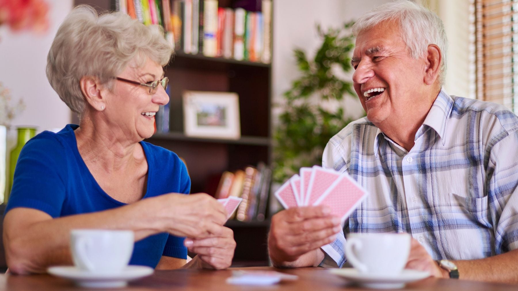 Game, seniors, memory