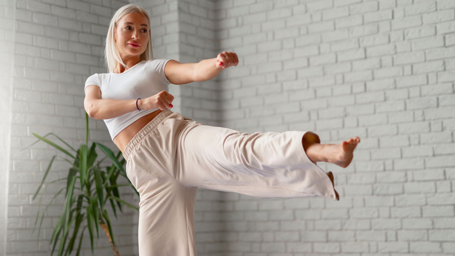 Harvard, activity, seniors