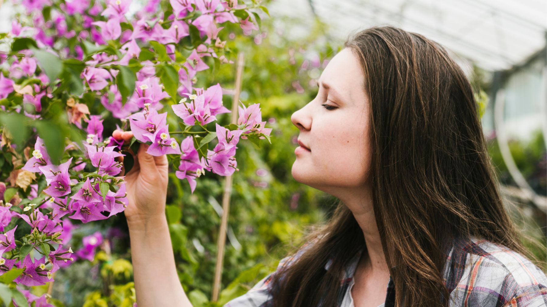 scent, flowers