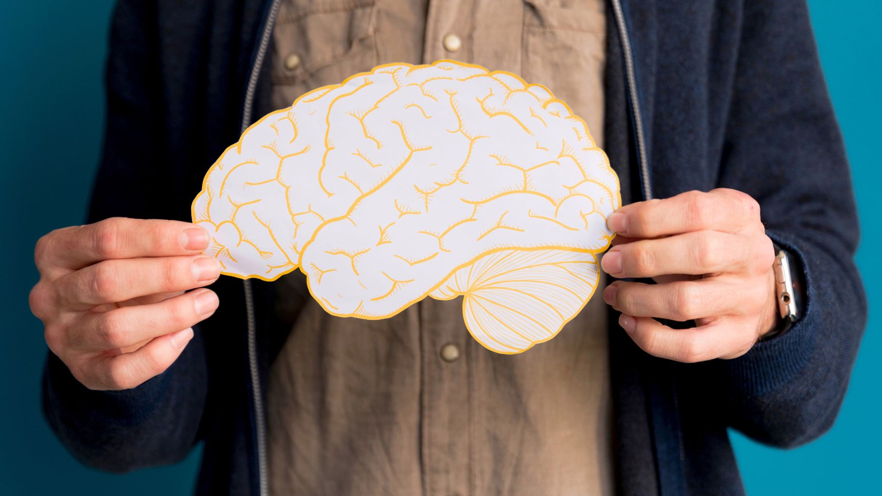 Brain, science, age
