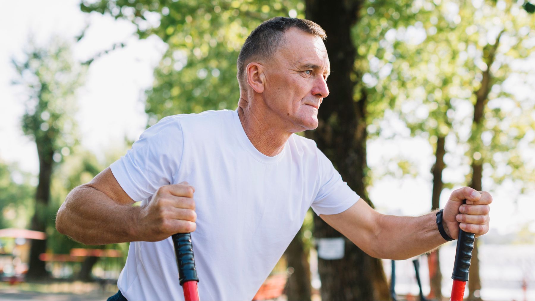 Diet, seniors, immune system