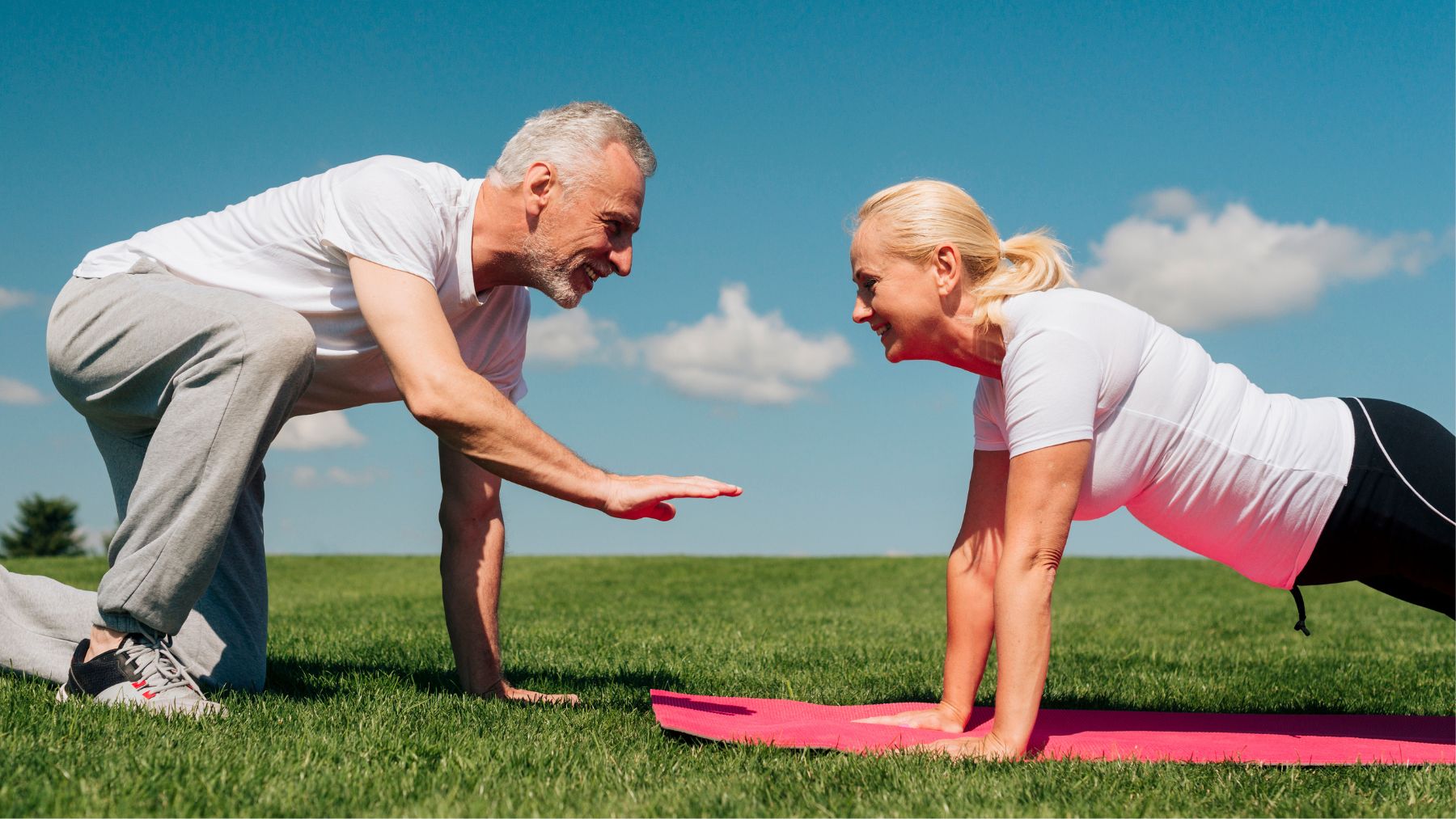 Study, exercise, seniors