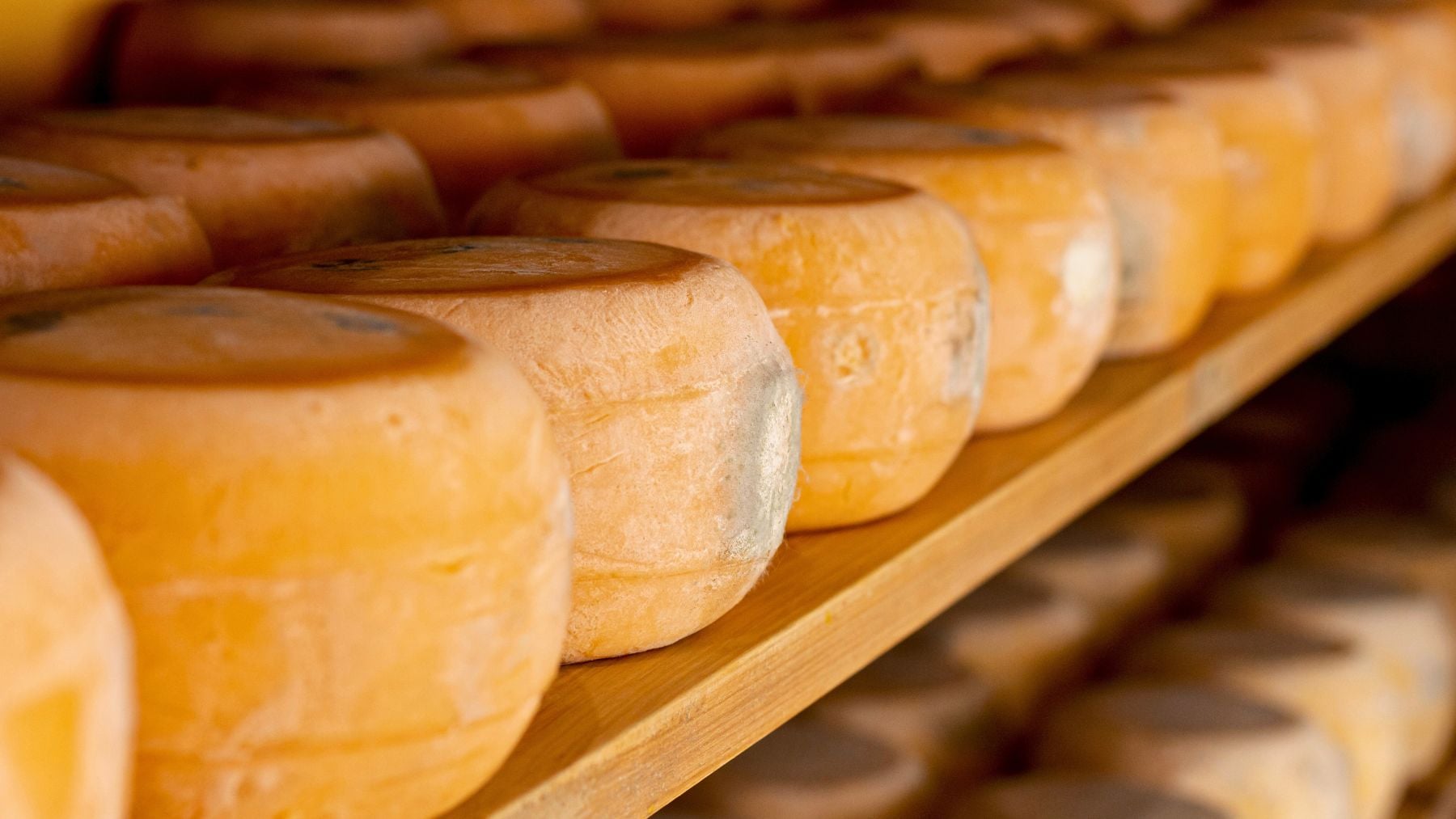 Cheeses, recall, contamination