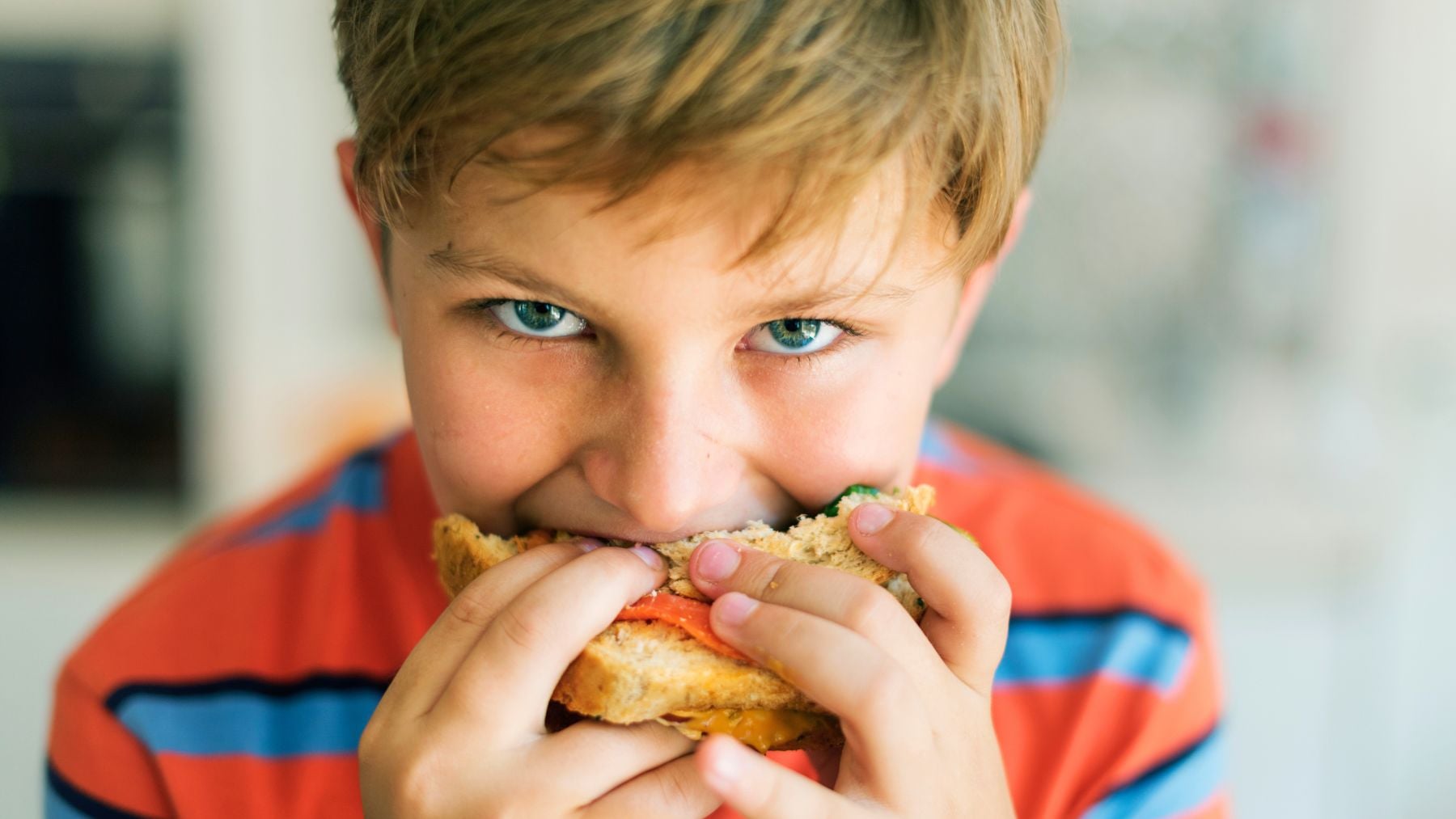 Harvard, food, children