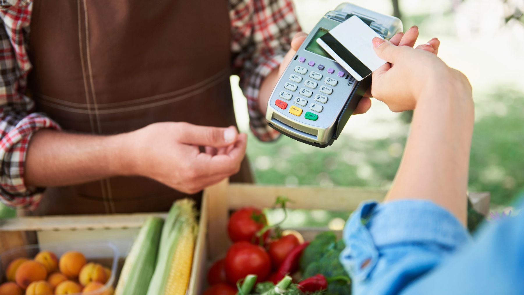 SNAP, benefits, payments