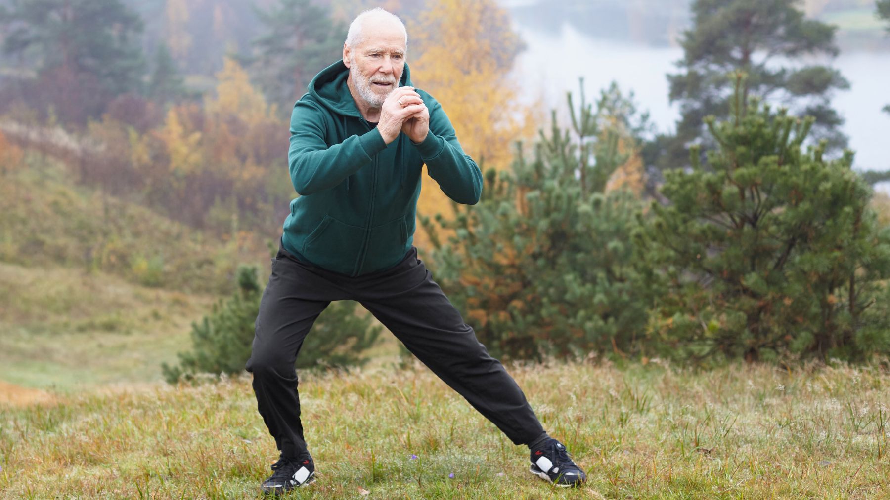 Moves, seniors, joints