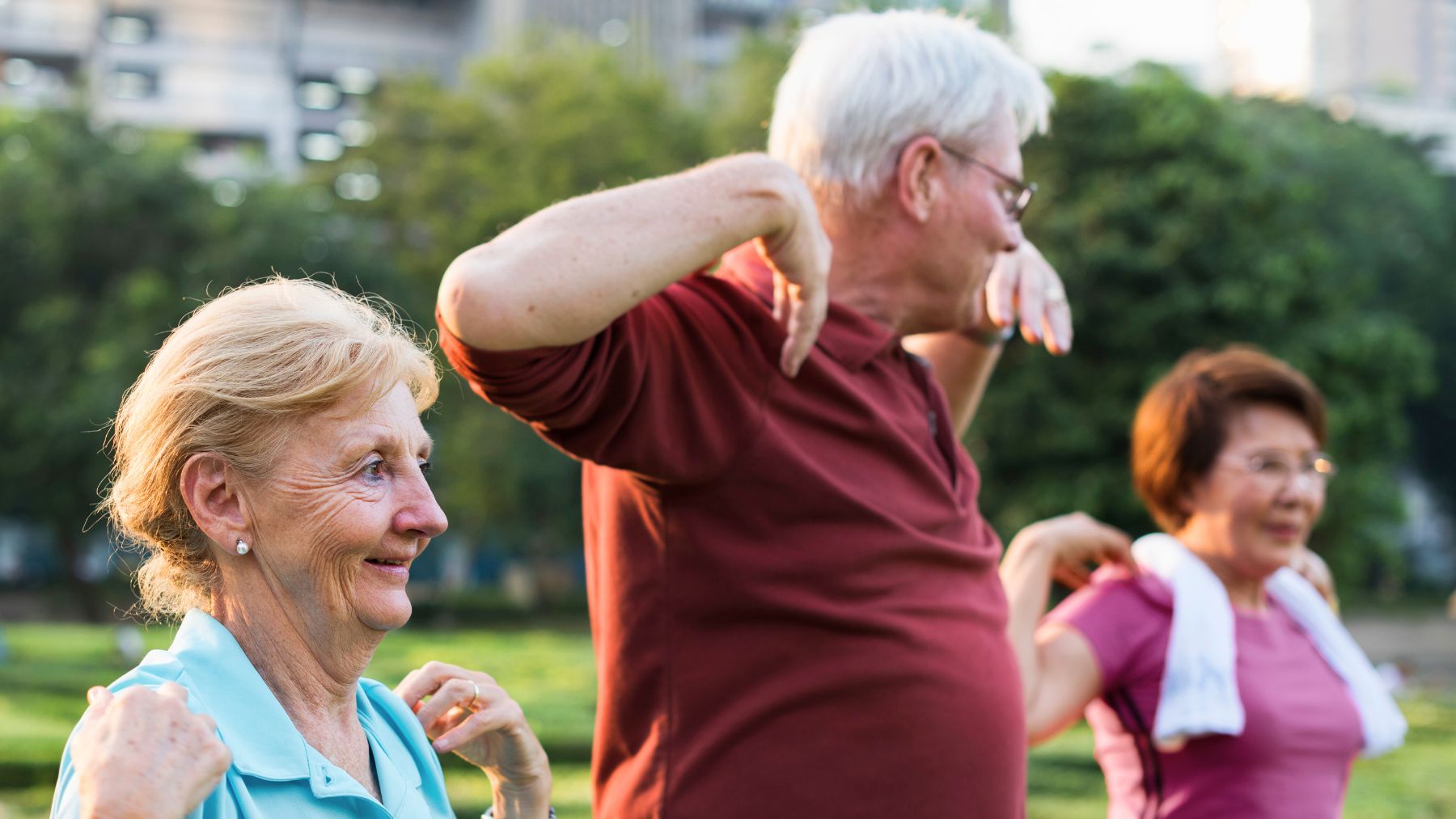 Exercises, resistance, seniors