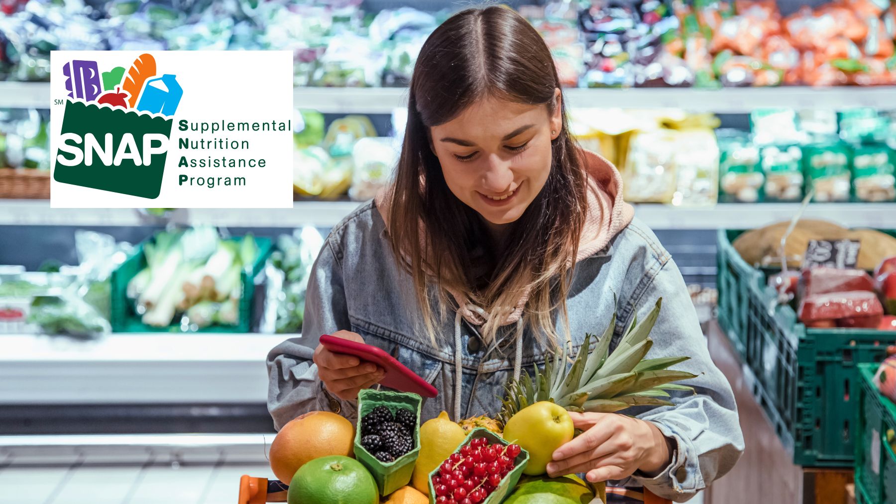 SNAP, payments, december