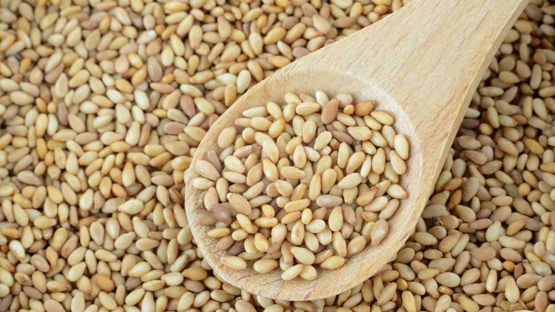 Close-up of sesame seeds in a wooden spoon showing a calcium-rich food that supports bone health