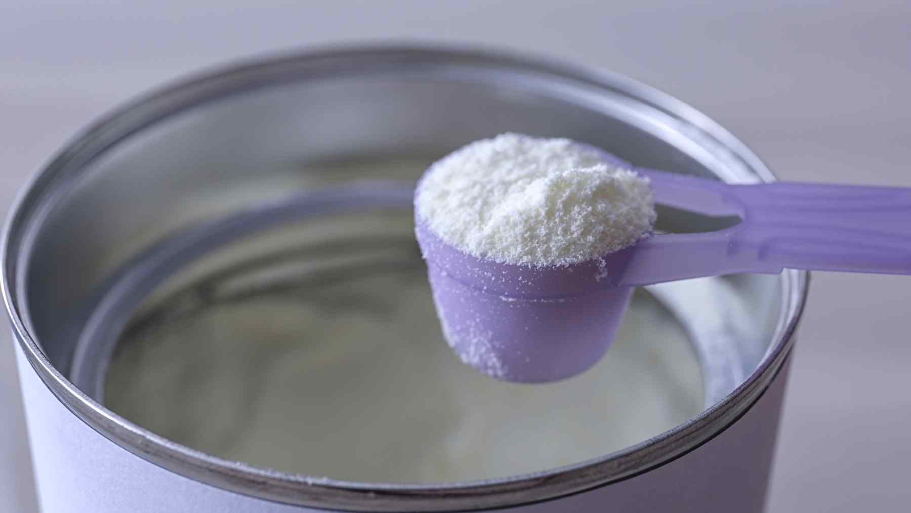 Scoop of powdered baby formula above an open can amid concerns over a recalled formula batch and Bacillus cereus toxin.