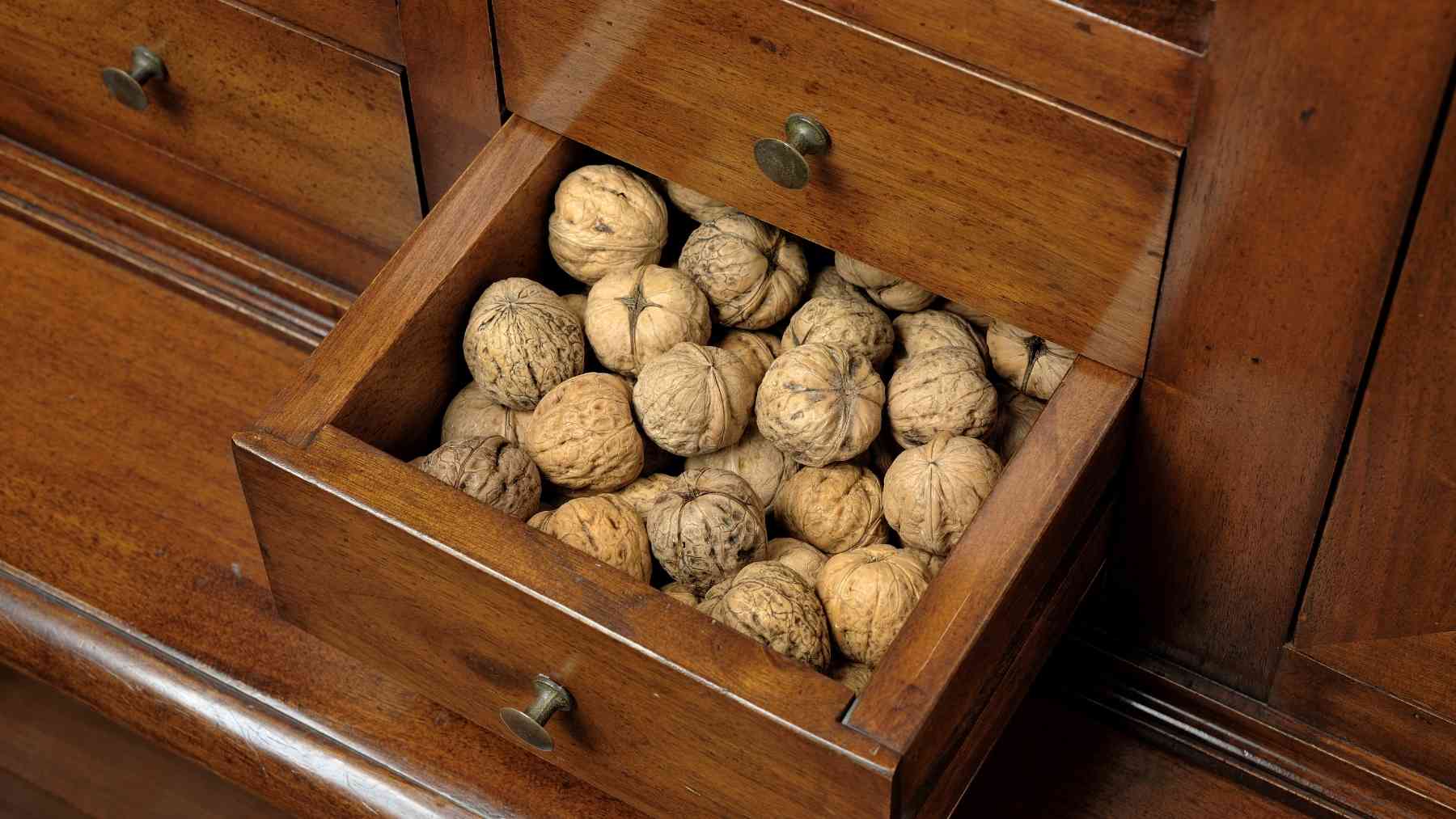 In-shell walnuts stored in a wooden kitchen drawer instead of the refrigerator.