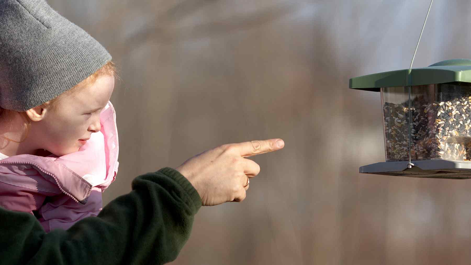 Adult and child pointing at a backyard bird feeder, highlighting birdwatching linked to a younger-looking brain