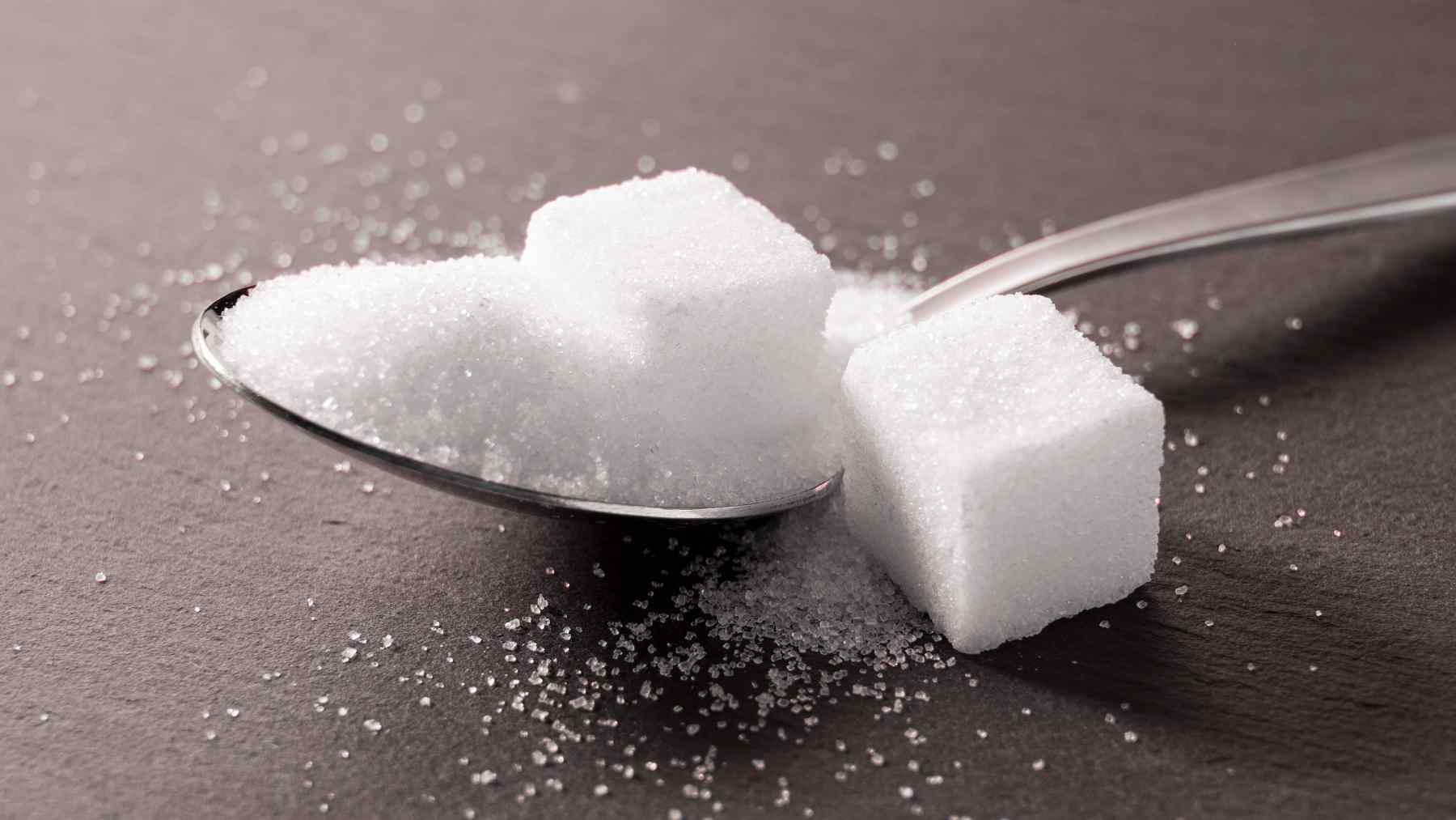Spoon filled with sugar and sugar cubes, illustrating a study linking sugar, hunger, and memory consolidation in fruit flies