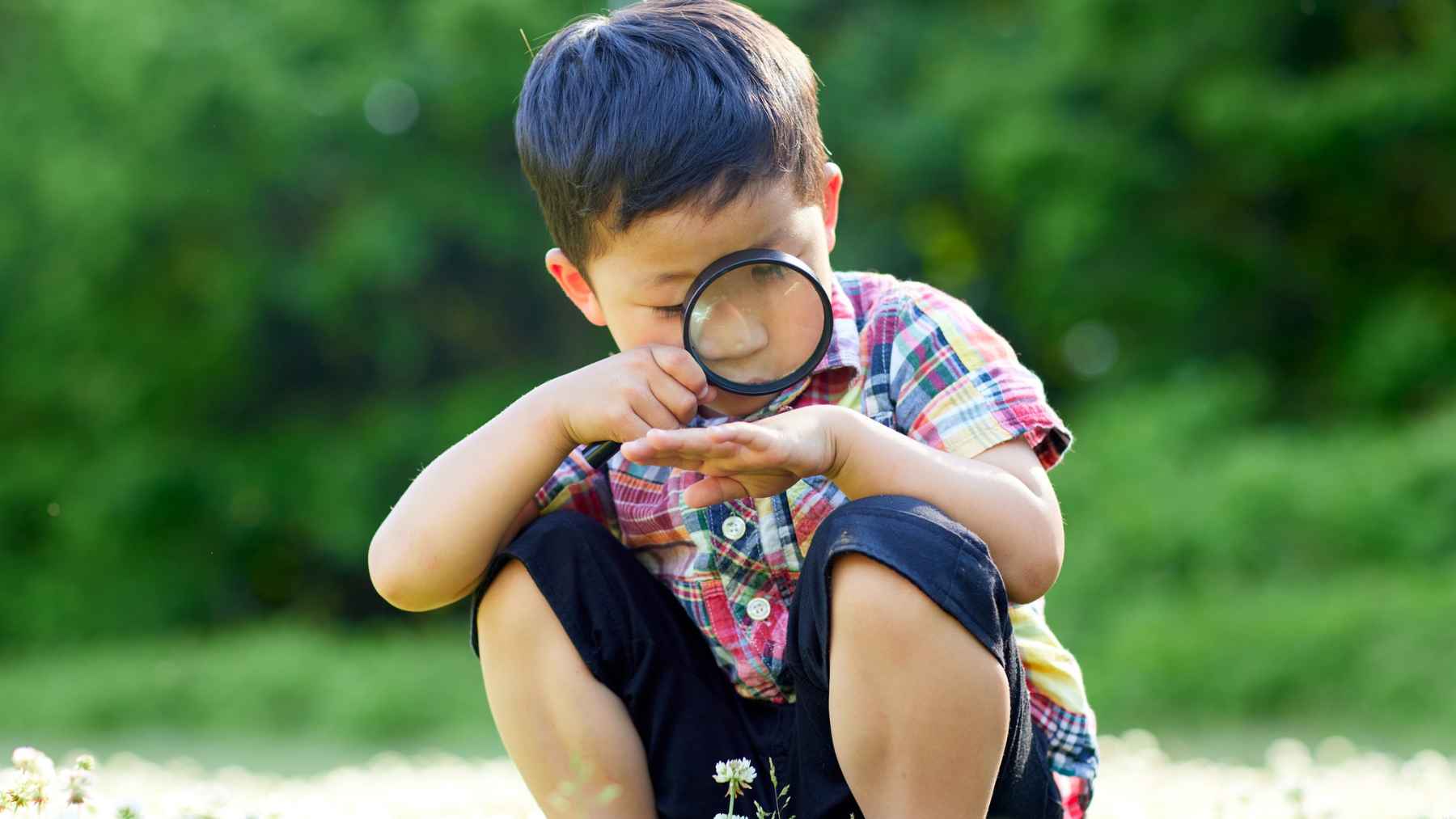 Person reading and researching independently, illustrating curiosity-driven learning and self-directed knowledge development.
