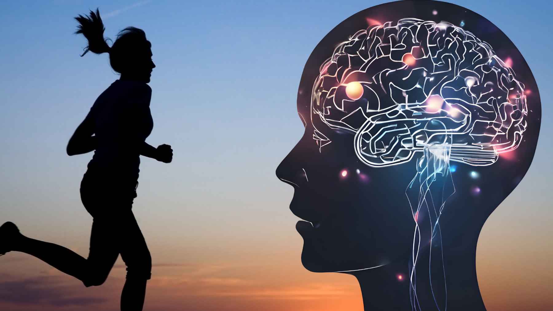 Runner exercising outdoors as researchers study how repeated physical activity strengthens brain circuits linked to endurance and fatigue adaptation.