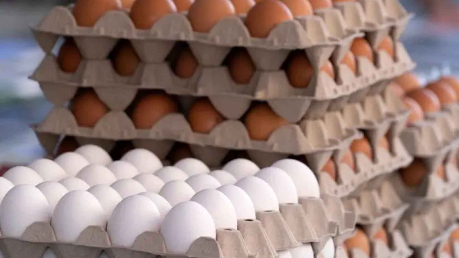 Never put eggs in cold water after boiling them: the simple mistake that can ruin the result 1 Trays of fresh white and brown eggs showing how egg age can affect hard-boiled egg peeling and texture.