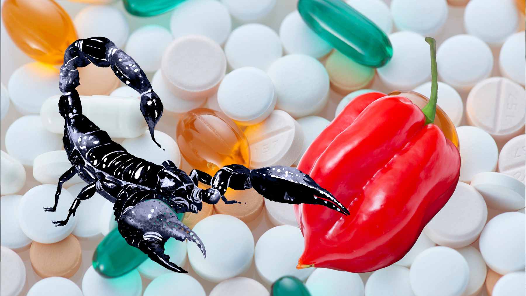 A laboratory researcher examines molecular compounds derived from Diplocentrus melici scorpion venom and habanero pepper extracts.