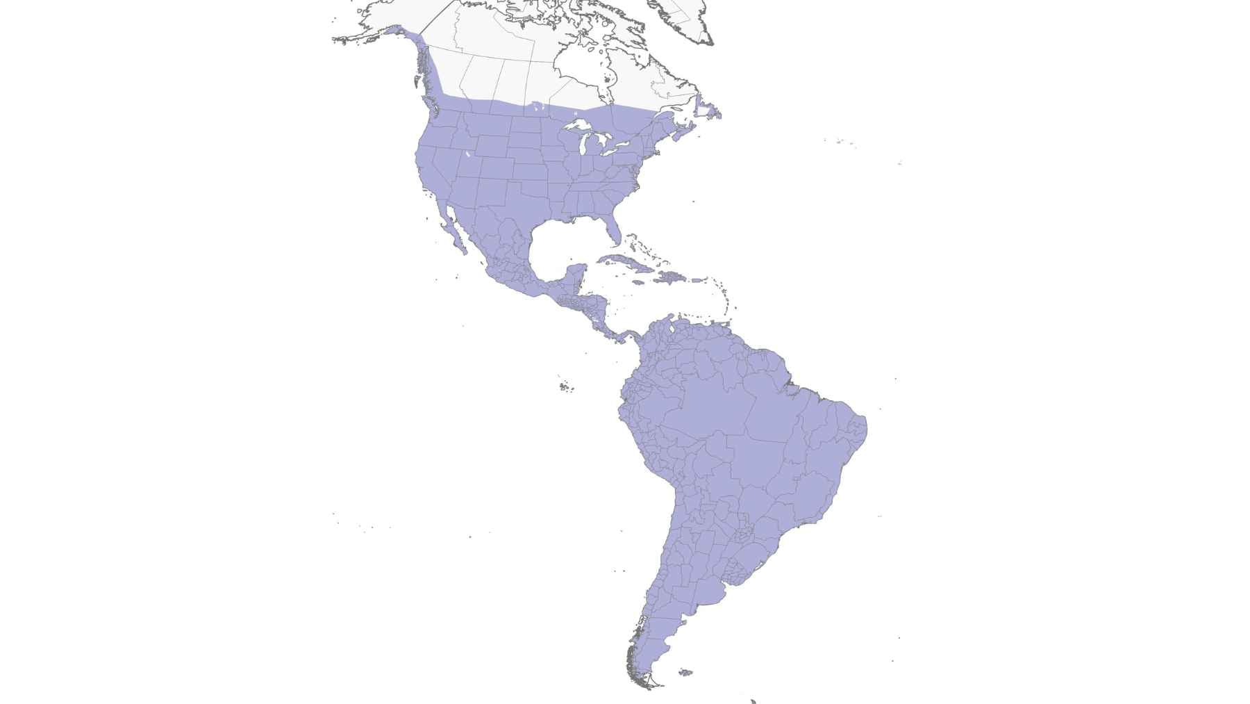 Map showing the geographic distribution and habitat range of rock pigeons across North, Central, and South America