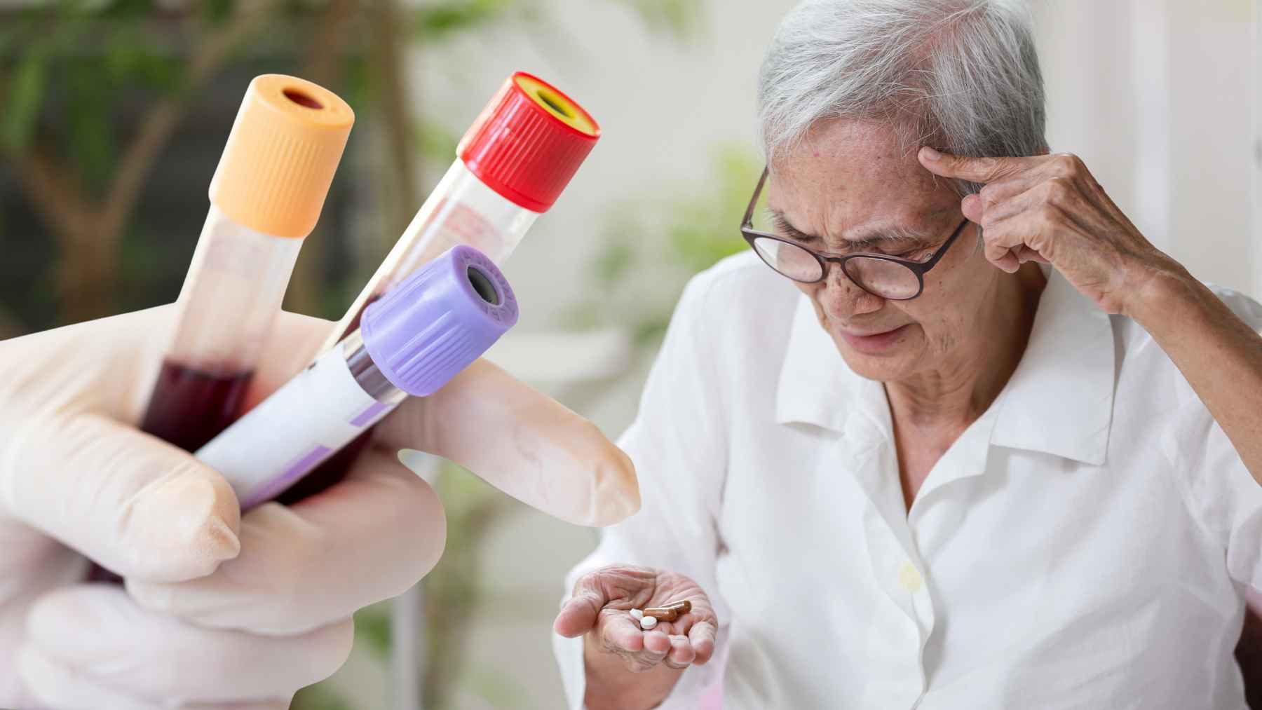 Healthcare professional collecting a blood sample for testing that could help identify early Alzheimer's disease risk before symptoms appear.