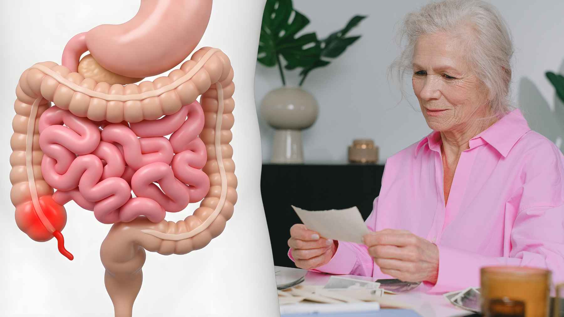 Illustration of the gut-brain connection highlighting research into how the gut microbiome may influence Alzheimer’s disease.