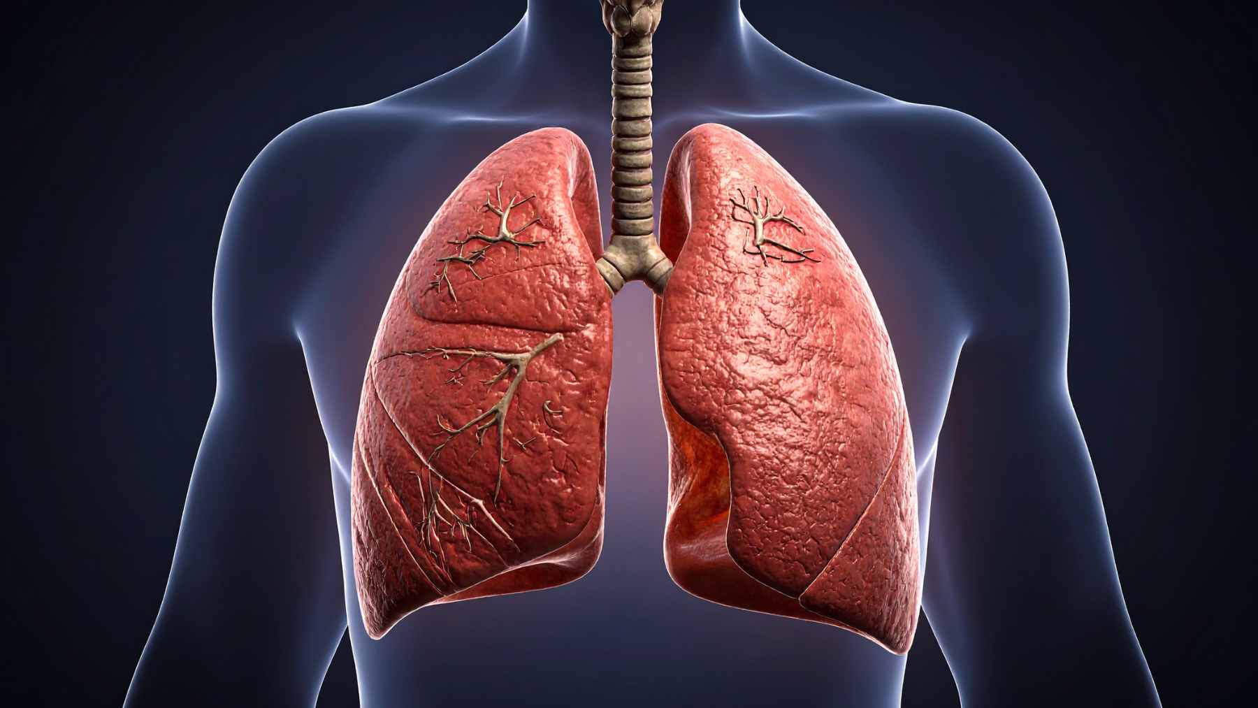 Asthma doesn't just hit your lungs: a psychiatrist explains the hidden emotional spiral that can make your symptoms worse 1 A medical illustration showing a patient experiencing chest tightness, symbolizing the intersection of respiratory distress and anxiety.
