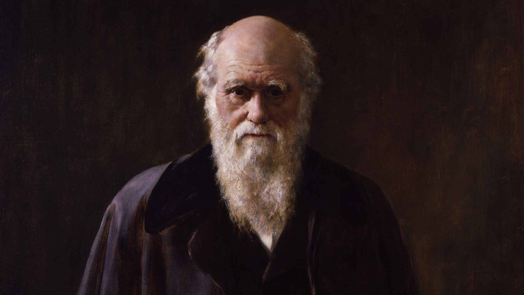 A classic portrait of naturalist Charles Darwin, whose work on evolution emphasized the importance of adaptation for survival.