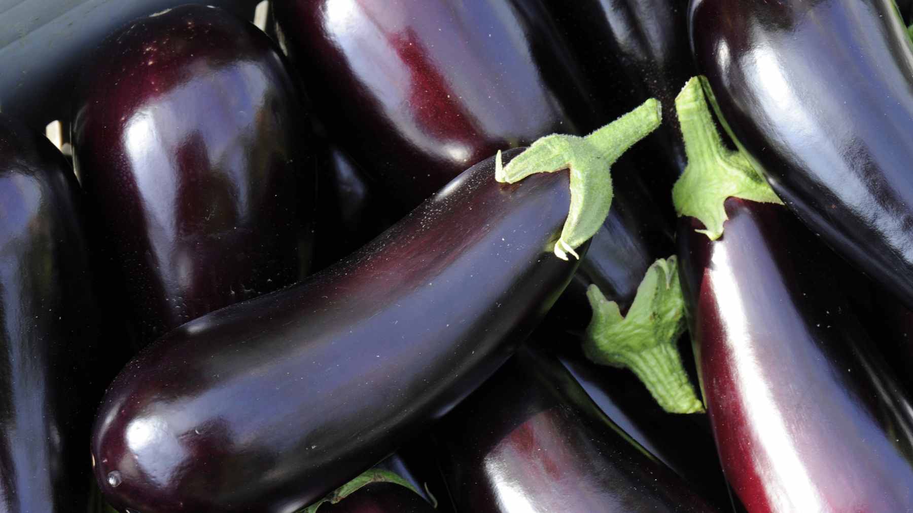 Your eggplant contains real nicotine, but the number of servings needed to match one cigarette is more than you can eat 2 A fresh eggplant sliced on a wooden board, representing the common vegetable that contains trace amounts of natural nicotine.