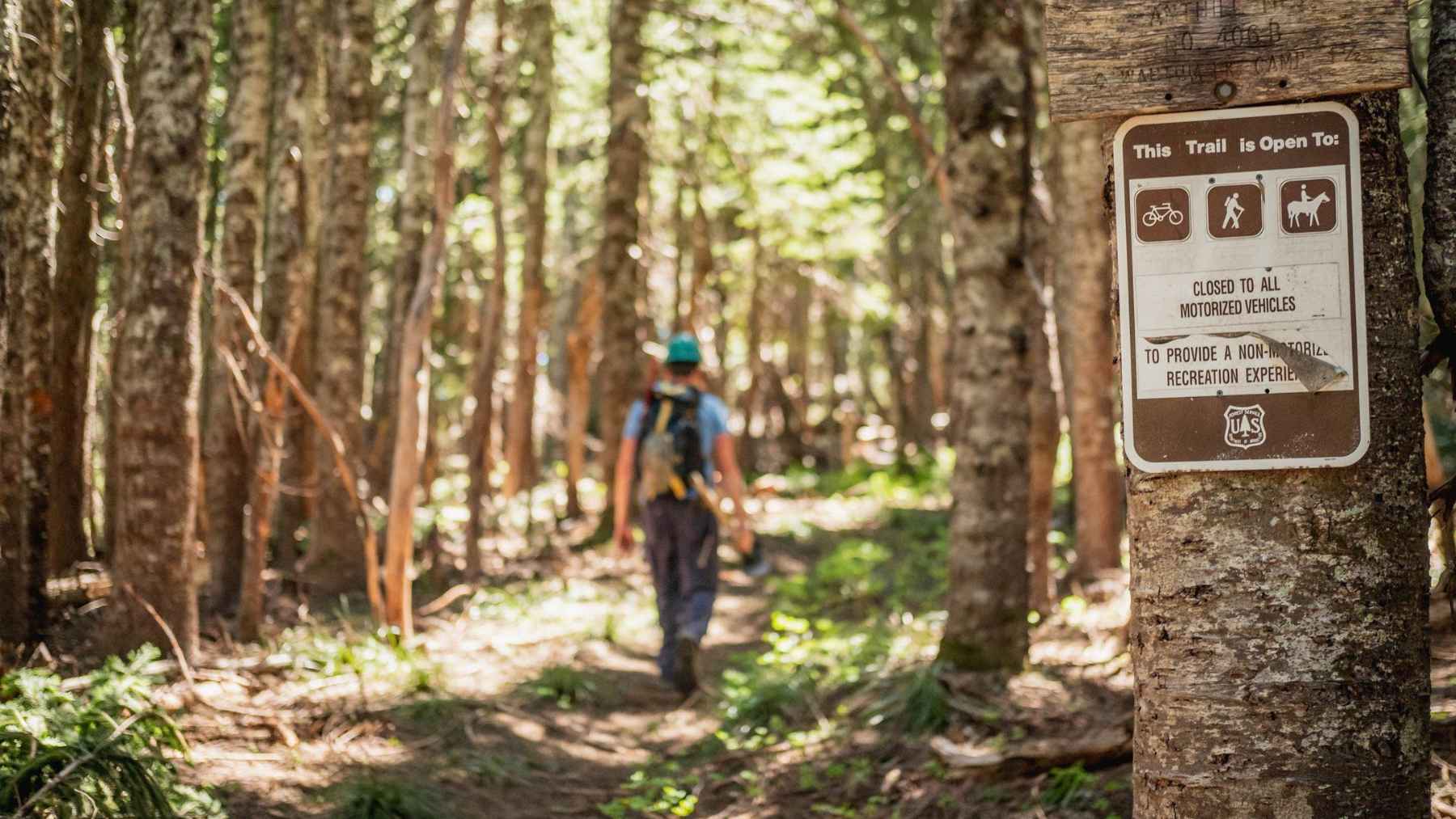 For neurodivergent people, a walk in the forest is more than recreation; research shows nature may calm your mind in ways therapy can't 1 Person walking along a peaceful forest trail, illustrating how natural environments may support emotional regulation and reduce sensory overload for some neurodivergent people.