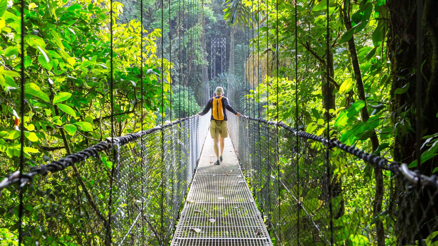 Neurodivergent person walking through a peaceful forest trail, illustrating how natural environments may support emotional regulation and attention.