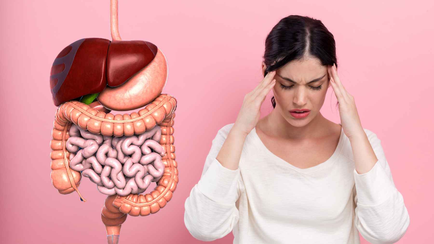 Illustration of the digestive system highlighting the gut-brain axis and how nutrition and gut health may influence mood and brain function.