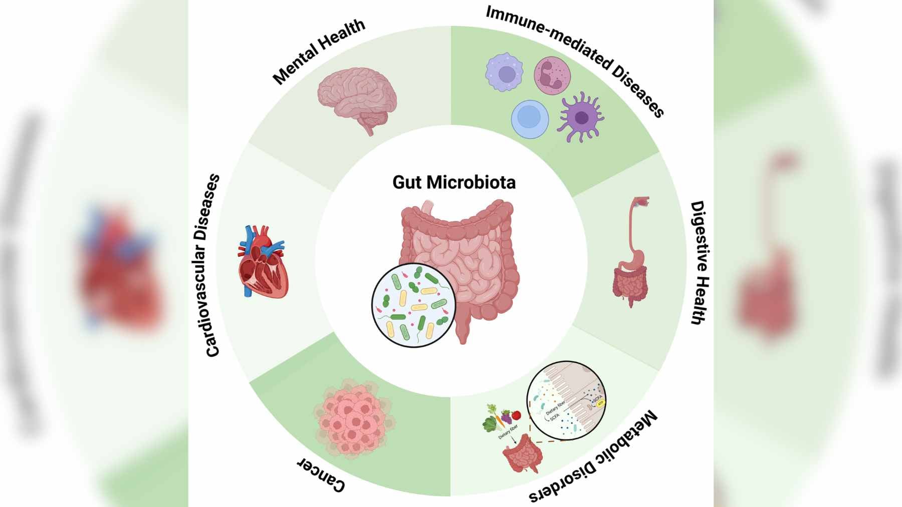 A glass of kefir surrounded by fresh fruit and grains, representing the fermented food being studied for its potential impact on the gut microbiome.