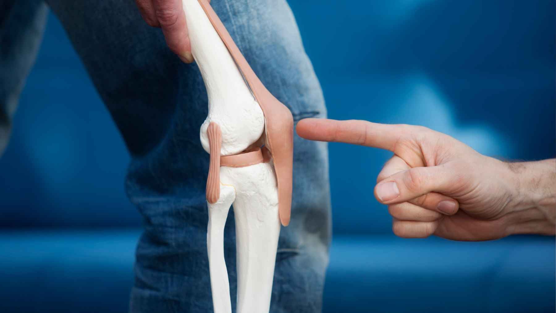 Doctor points to a knee joint model while explaining cartilage damage and osteoarthritis during a medical consultation.