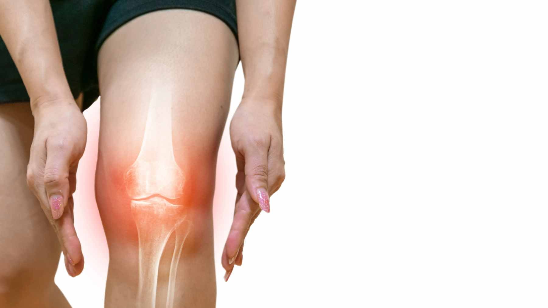 Scientists found that menstrual blood can repair the cartilage in worn joints, and the reason this matters for your knees is huge 1 A scientific representation of extracellular vesicles derived from menstrual blood interacting with damaged joint cartilage cells.
