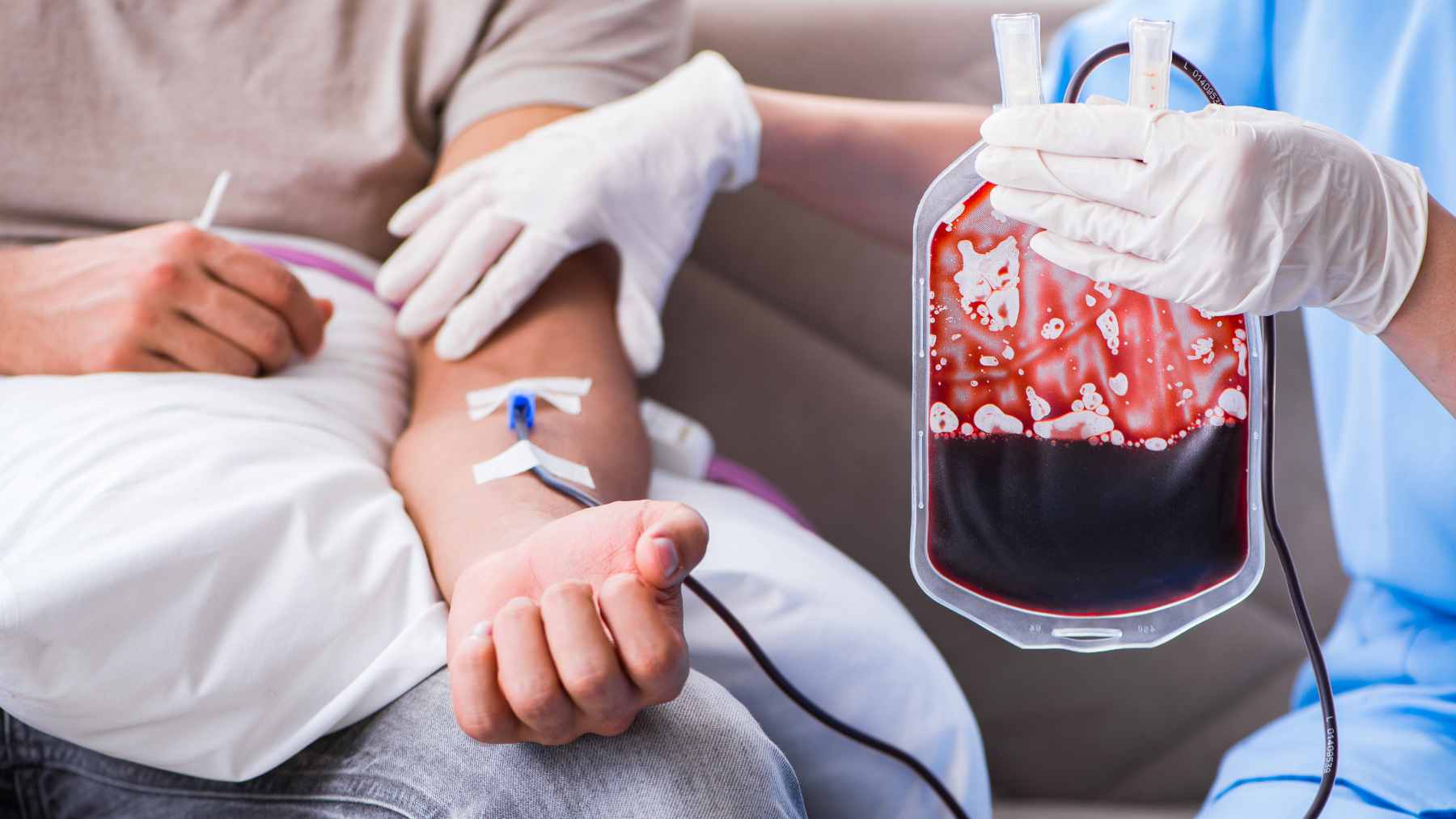 A blood transfusion isn't the simple top-up you picture, an anesthesiologist says it's far closer to a transplant than you'd think 2 A medical professional administering a blood transfusion in a hospital setting, illustrating patient blood management and surgical care protocols.